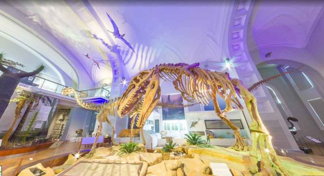 Finnish Museum of Natural History