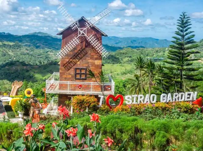 cebu sirao flower garden