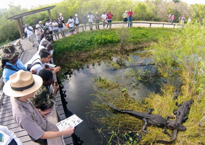 miami everglades national park