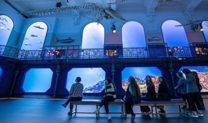 monaco oceanographic museum